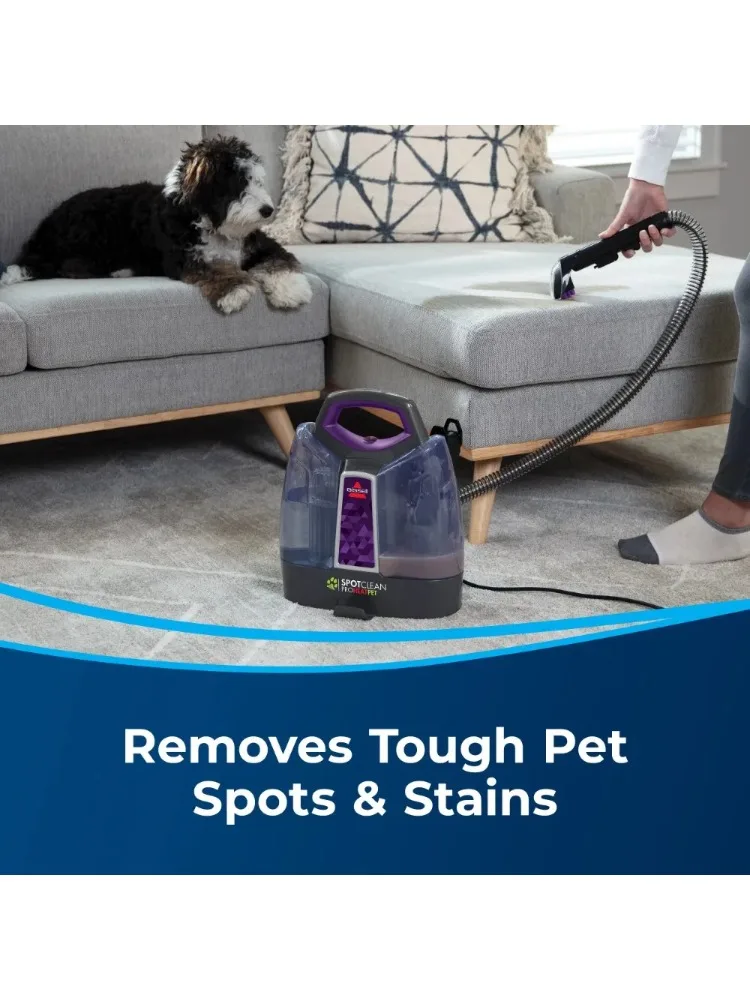 가정용 휴대용 얼룩 카펫 클리너, 보라색