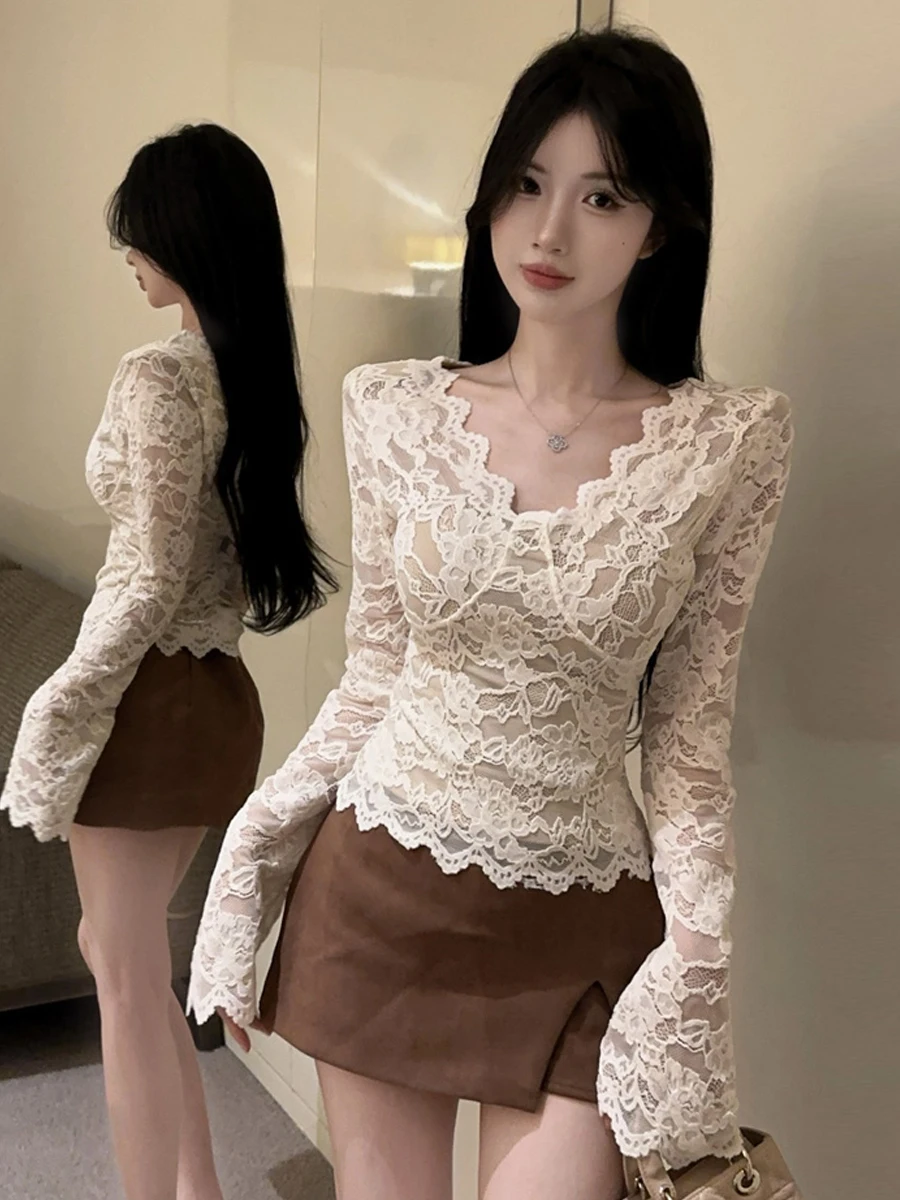 Pure Desire Gentle Style Fleece Lined Lace Long Sleeve Hollow out Embroidery Slimming V Neck Pullover Top for Women