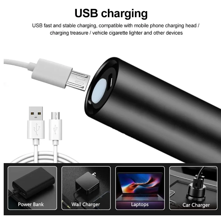 Mini UV Flashlight Ultraviolet Blacklight USB Rechargeable Purple Linternas Carpet Pet Urine Detector Catch Scorpions
