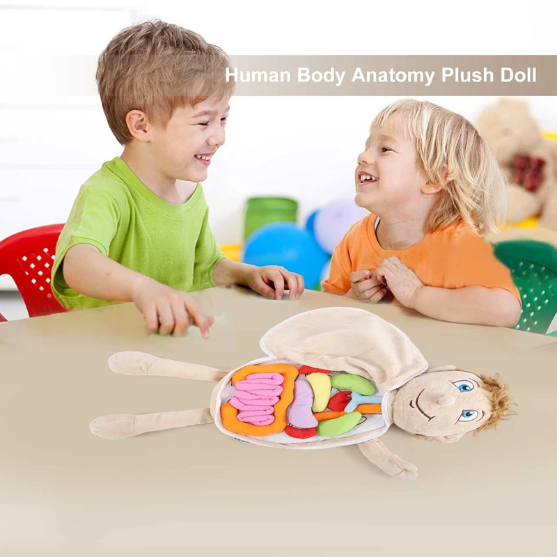 Kids Assembled Plush Body Organs Toy Human Body Anatomy Plush Doll Science Teaching Aids Tool Educational Toys