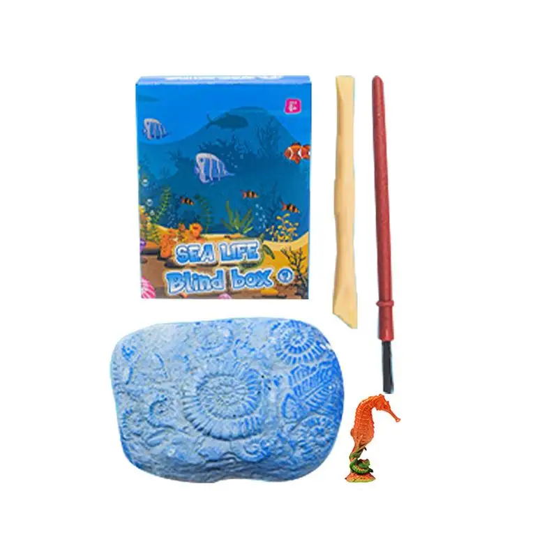 

Sea Fossil Dig Kit Science Educational Toy For Kids Archaeological Fossil Ocean Toys For Boys Girls Educational Science Geology