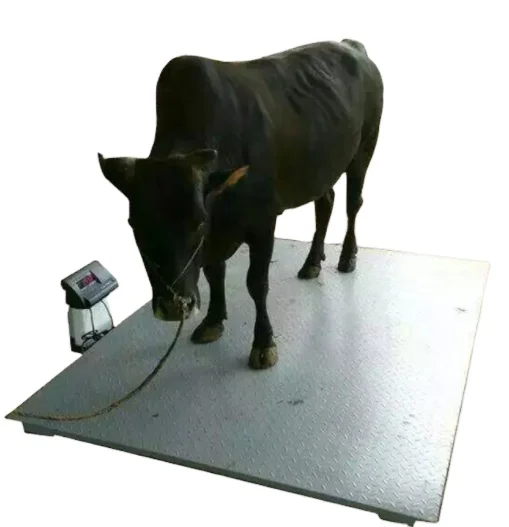 

loadcell A12E Livestock Weight Measuring floor Scale 2 ton load cell kits weighing indicator