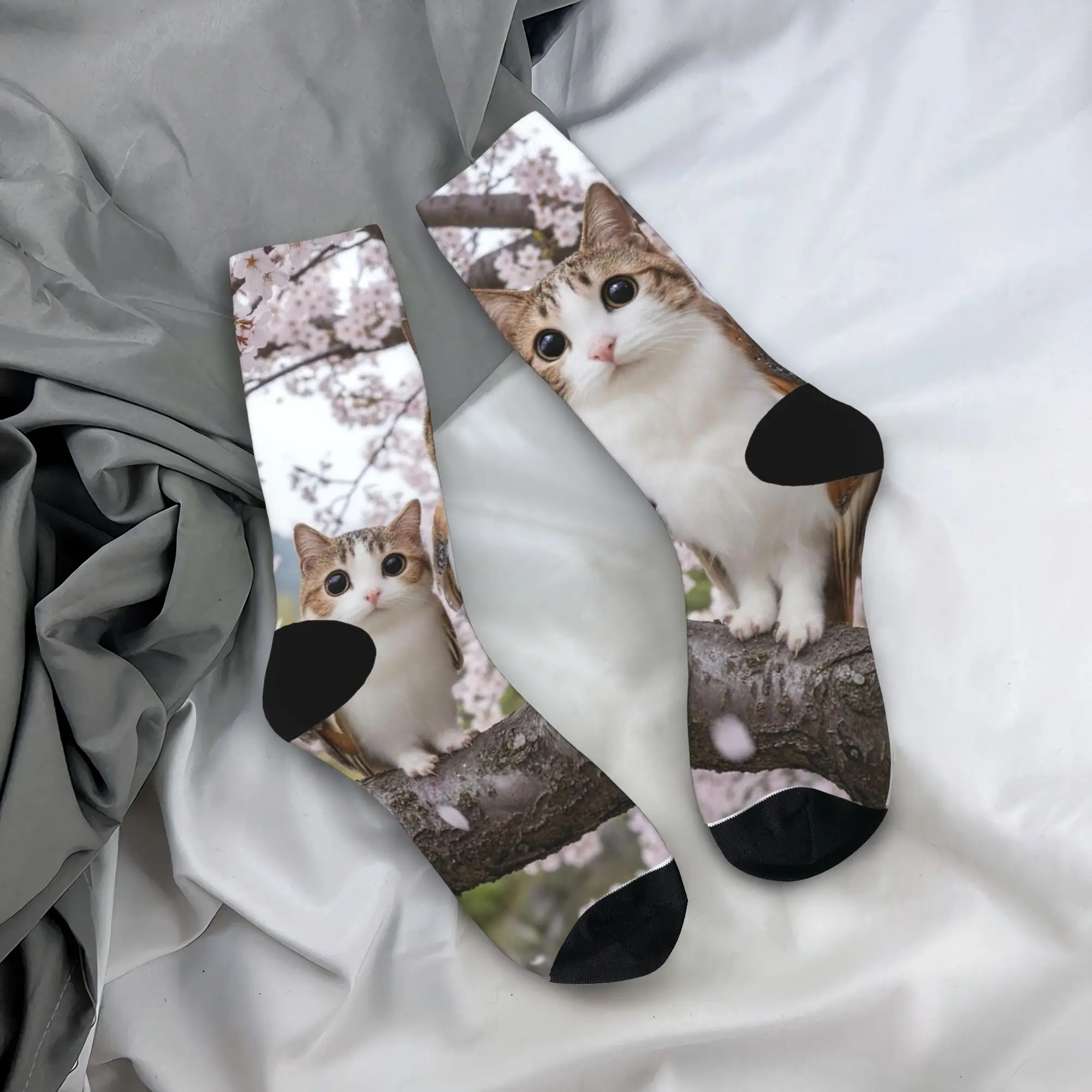 Two Meowls on Cherry Blossom Branch Socks  Vintage Stockings Autumn Anti Skid Couple Socks Breathable Graphic Running Socks