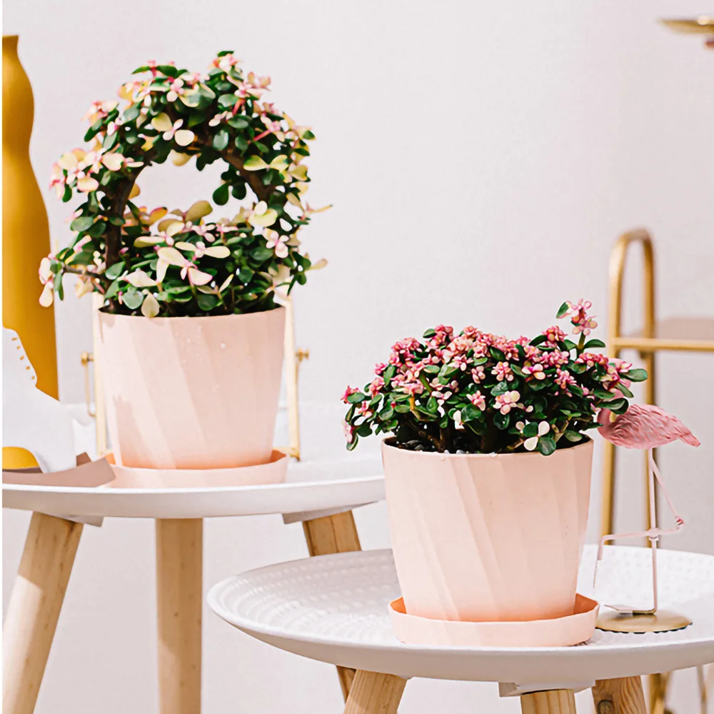 1 Pc Nordic Minimalist Desktop Resin Fleshy Thick Plastic White Pink Plue Suit Flower Pot Potted Ceramic self watering planter