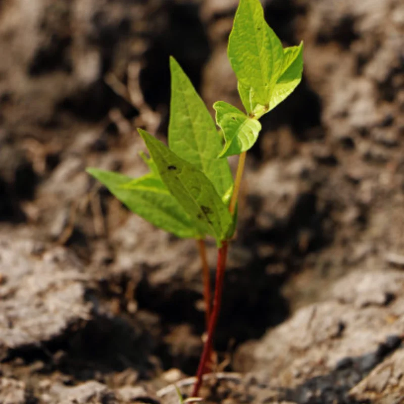 

Front Axle C Seat for WLtoys 104006 104010 104020 104026 RC Car Upgrade Accessories