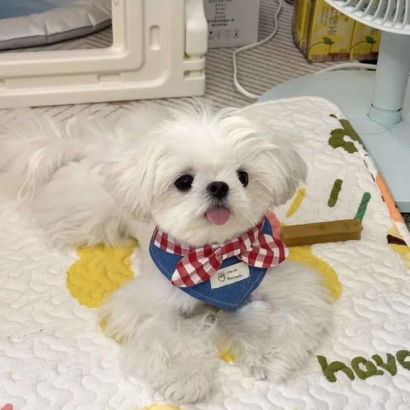 Pajarita de mezclilla ajustable para perros pequeños y gatos – Suave algodón - imagen 5