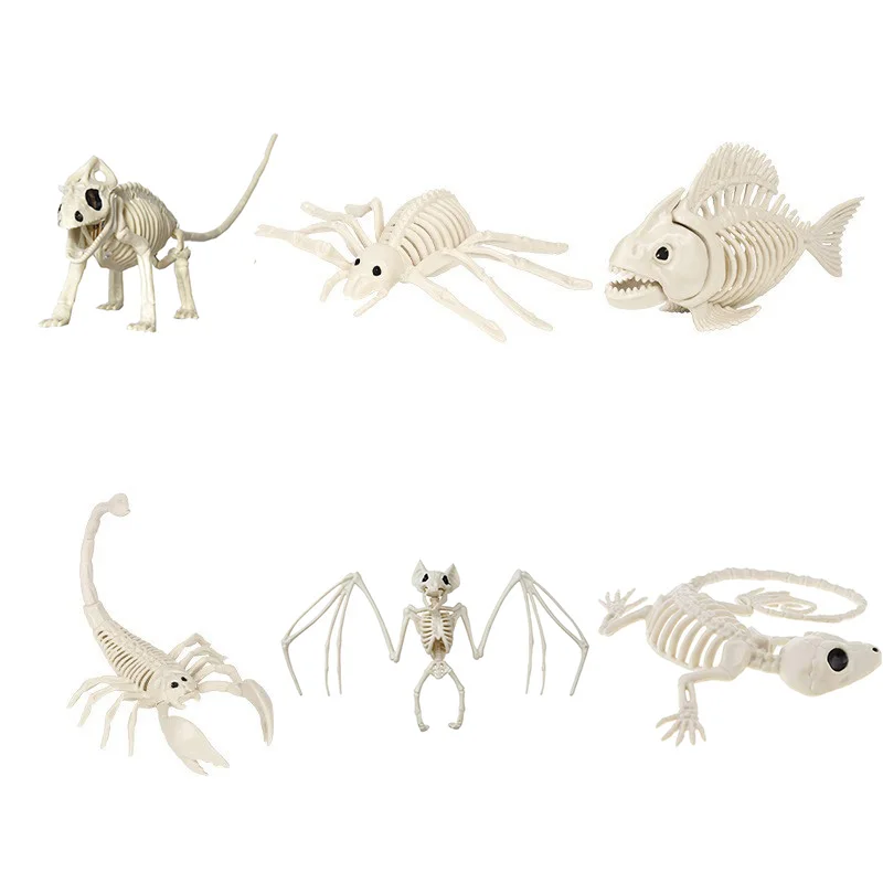 Halloween Animal Skeletons,Bat Spider Scorpion Fish Skeleton Model Creepy Skull Skeleton Family Halloween Atmosphere Decoration view 6