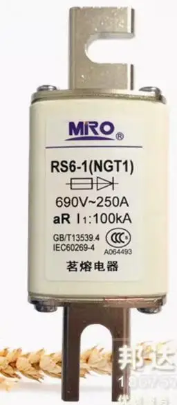 RS6-1 NGT1 690V 100A 125A 160A 200A 250A NEW FUSE ORIGINAL STOCK MRO