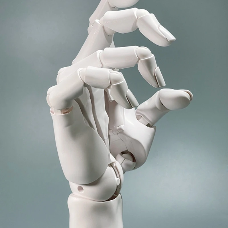Universal Flexible Hand Model, Movable Artist Mannequin Hand Shape, For Home Office Desk Decoration, Display