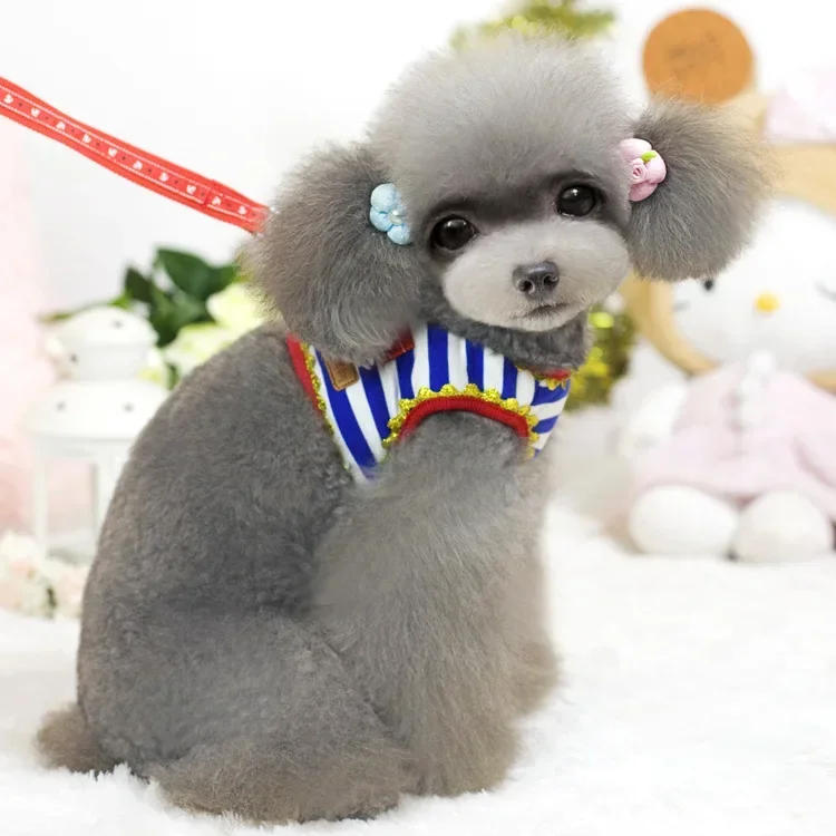 

Factory direct sales pet products dog rope chest strap, exquisite embroidered vest dog leash clothes collar