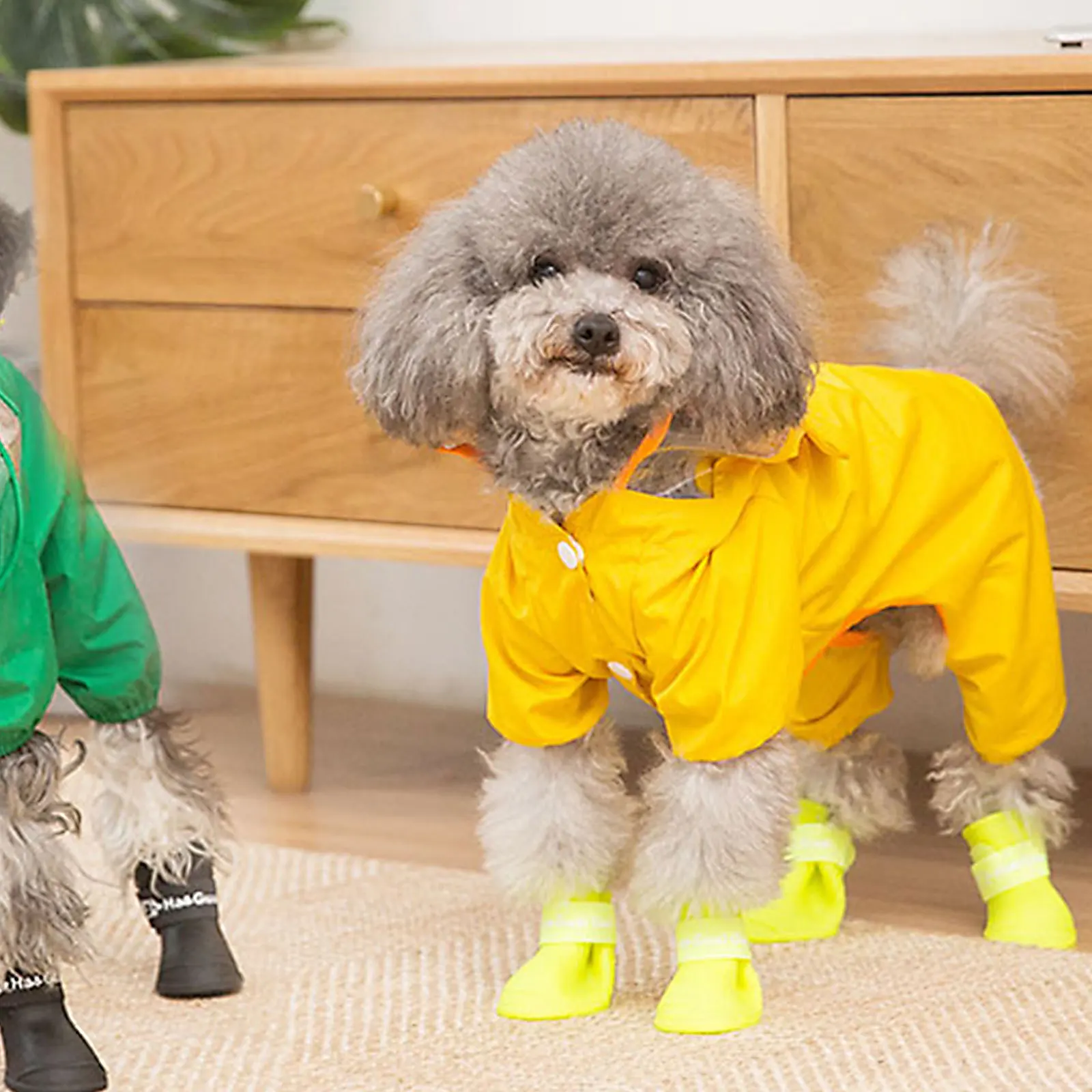 

Pet Dog Hooded Raincoat Lightweight Waterproof Stylish Unique Design for Small Medium Dogs Rainy Day Outdoor Protection Gear