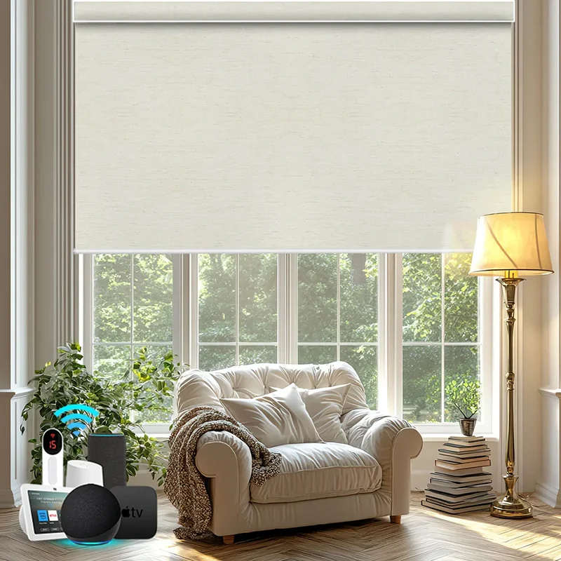Wholesale Factory Custom Shades Blackout And Light Filtering Fabric Apple Homekit Matter Motor Motorized Roller Blinds For House