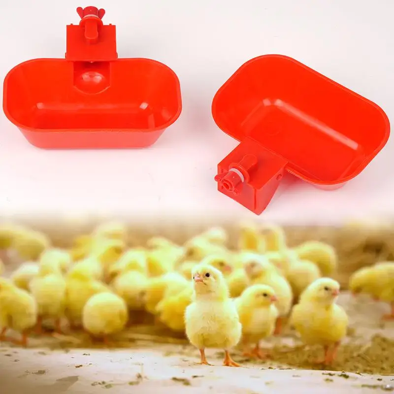 5/10Pcs Automatic Poultry Drinking Bowls Square Enlarged Thicken Drinking Bowl for Cat Dog Chicken Duck Thread chicken feeder