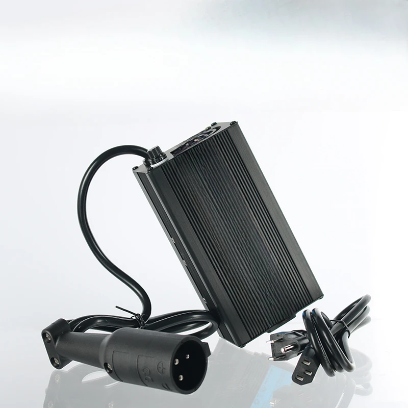 Smart charger for 48V lithium battery electric vehicle