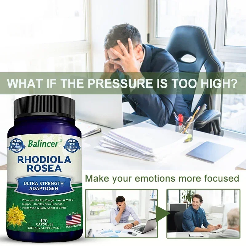 Rhodiola Rosea - BioPerine Helps Improve Absorption, A Powerful Adaptogen That Supports Healthy Energy, Mood, Stress & Brain