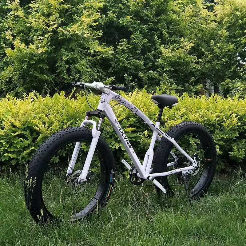 

Mountain Bikes 20/24/26 Inch Off-road Wide Tires Variable Speed for Men & Women Adults Wholesale