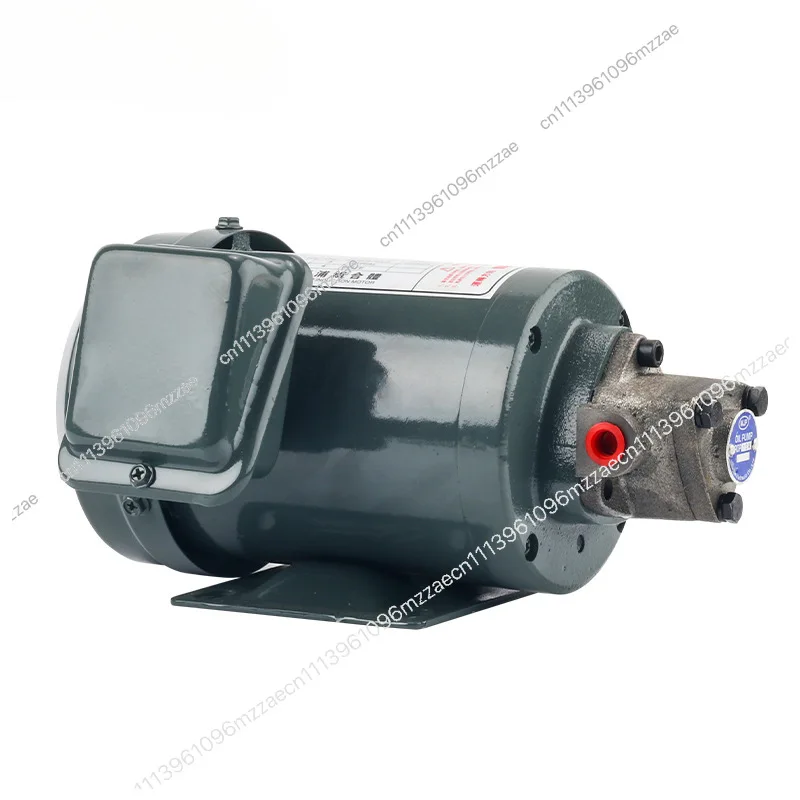 Hydraulic Triangle Pump Top-12a Gear Pump Circulating Oil  380V Machine Tool Lubrication Cycloid