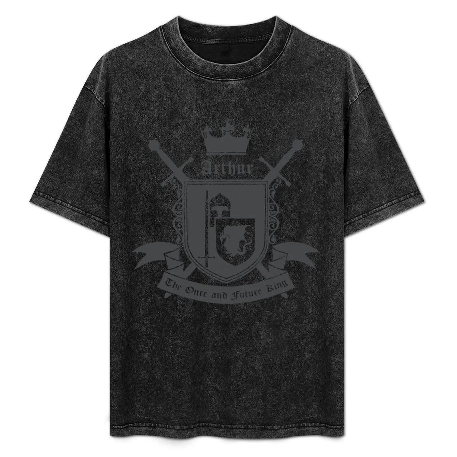 

The Once and Future King T-Shirt Breathable Sportswear T-Shirt for Men