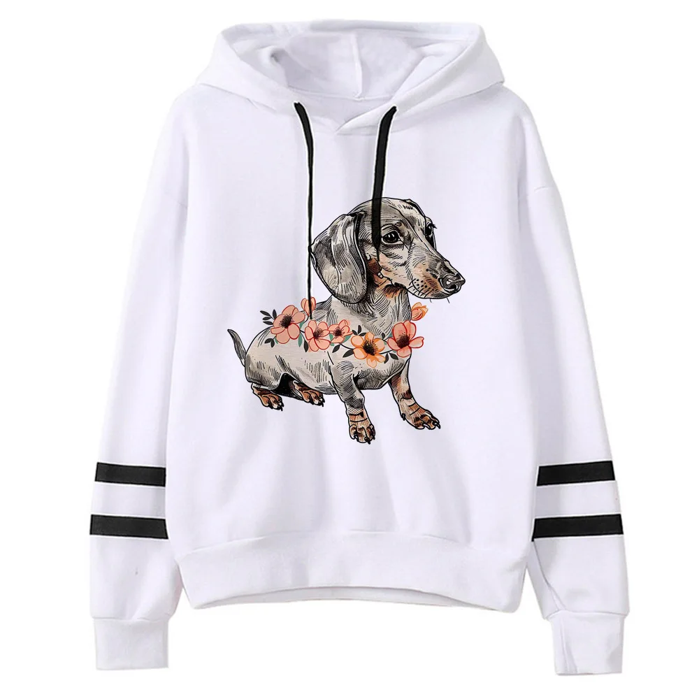 Dachshund hoodie patterned winter athleisure kawaii streetwear teen hoddie tracksuits funny youthful casual wear comfortable