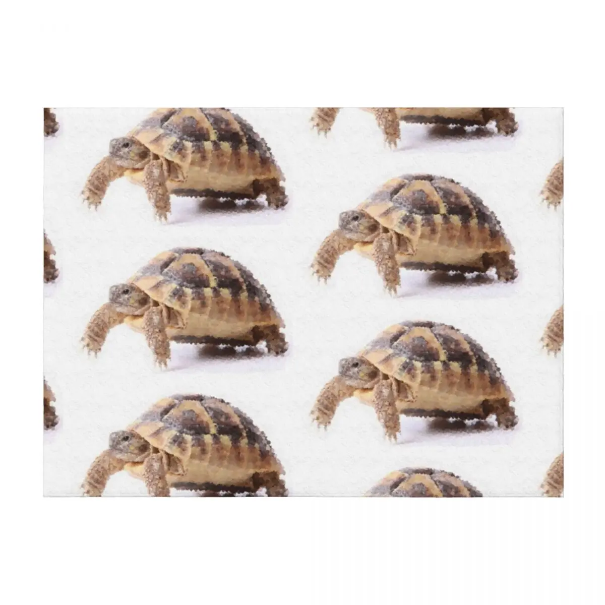 

Cute Tortoise Walking Throw Blanket Summer Decorative Sofas Luxury St funny gift Blankets