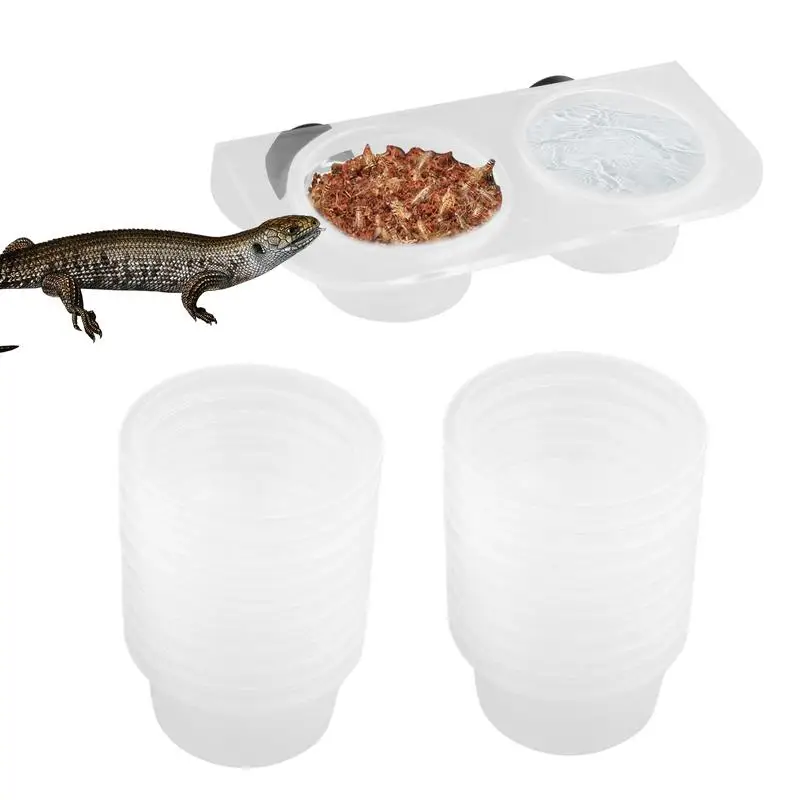 

Reptile Feeder Gecko Water Dish Snake Water Keeper Easy-Clean For Lizard Tortoise Aquatic Turtle Chameleon Terrarium Decor