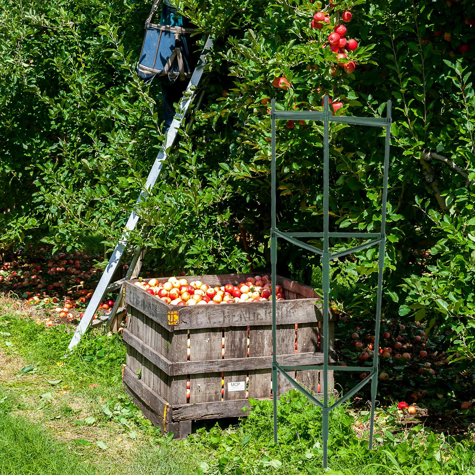

1 Set Garden Plant Trellis Tomato Cage Support Adjustable Sturdy Plastic Stakes Outdoor Vegetable Climbing Rack For Tomatoes