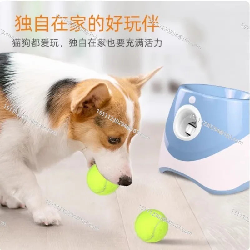 Automatic Pet Throw Jump Ball, Catapult Ball Launcher, Dog Toy, Bulldog Toy, Tennis Machine