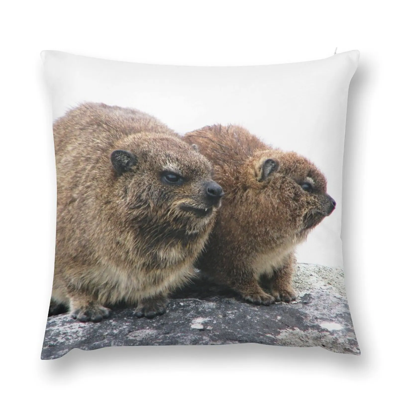 Dassie Mum & Baby 2 Throw Pillow Luxury Cushion Cover Plaid Sofa Cushions For Sofa pillows decor home pillow