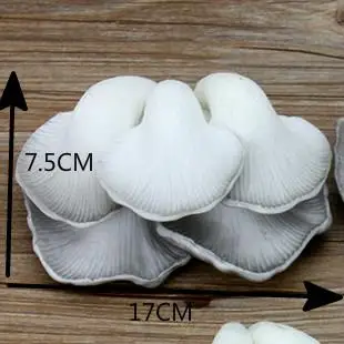 Restaurant Desktop Decoration Crafts, Pu Simulation Food, Mushroom Cabinet Model, Decorative Props, 2 Pcs per Lot image 3