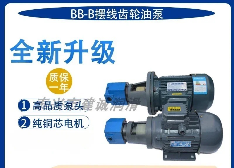 Trabajar en BB-B20/B16JZ/B25/B32/B40/B63JZ Motor de bomba de aceite de engranaje cicloidal BB-B80/B125NJZ