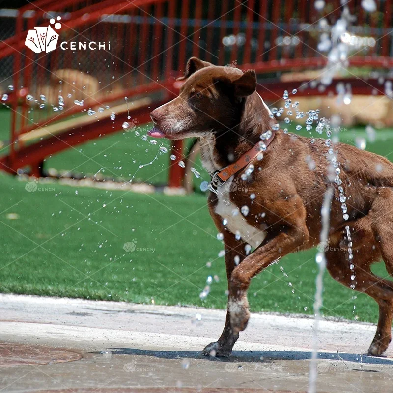 Cenchi home backyard residential outdoor dog diy water splash parks toys spray games puppy pet training equipment