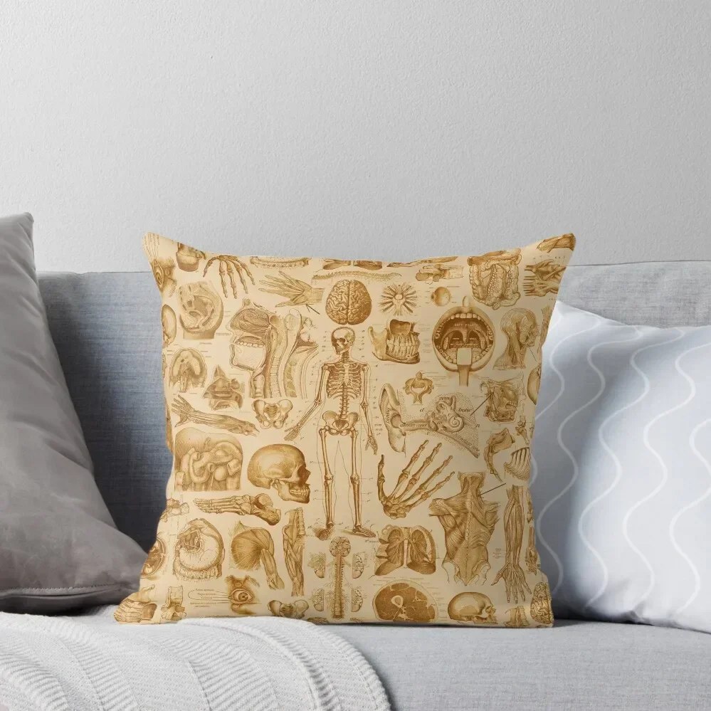 

Human Anatomy Tan Print Throw Pillow Covers For Sofas Christmas Covers Christmas Pillow Cases Sofa Covers For Living Room pillow