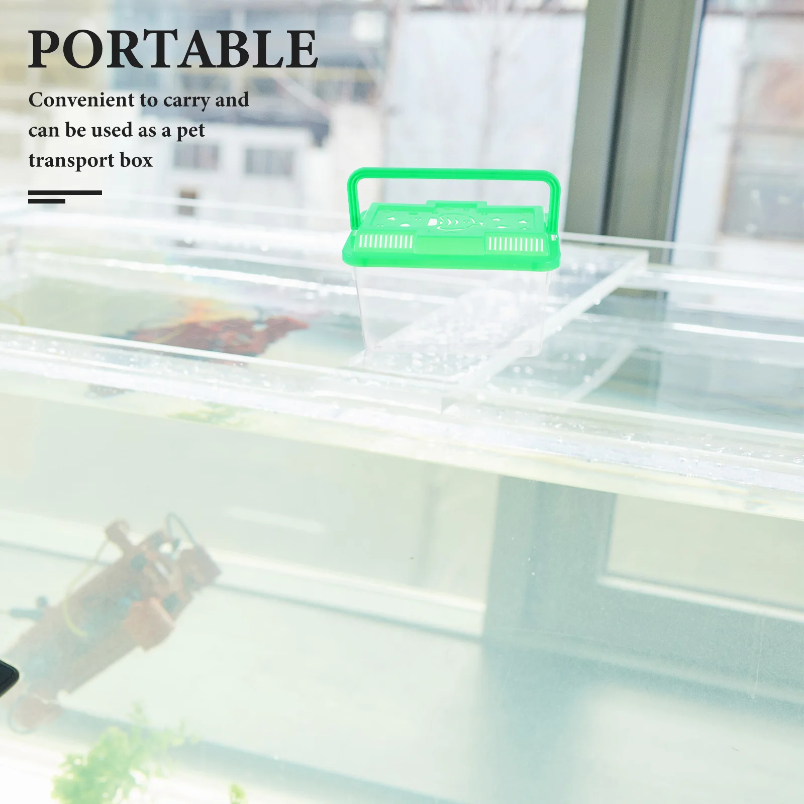 

Portable Fish Tank Baby Turtle Hamster Travel Case Tanks for Kids Container Betta Light Green Clear Lizard Nest