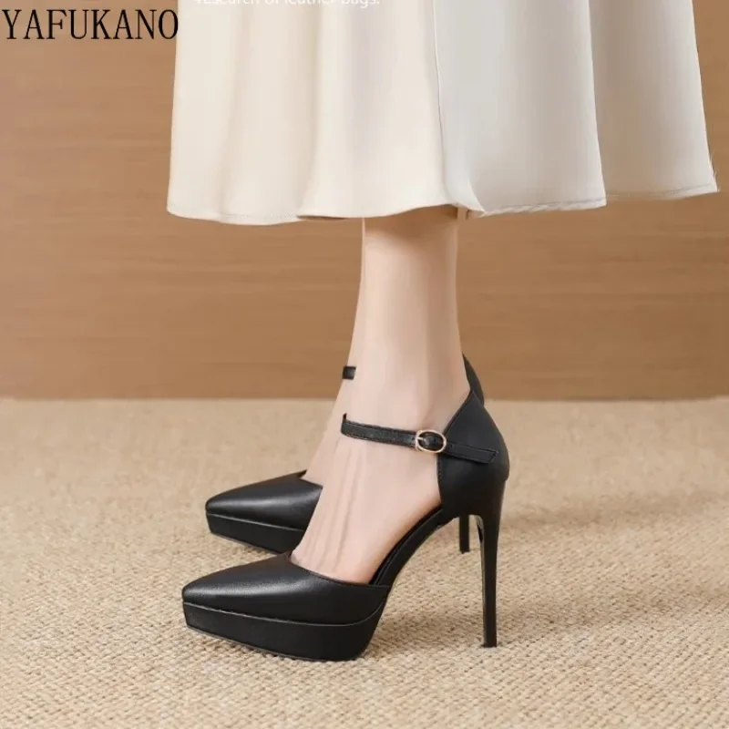 Brand Design Ankle Straps Womens Sandals 2024 New 12Cm Pointed Toe Platform Party Pumps Matte Leather Girl High Heels Size 33 42