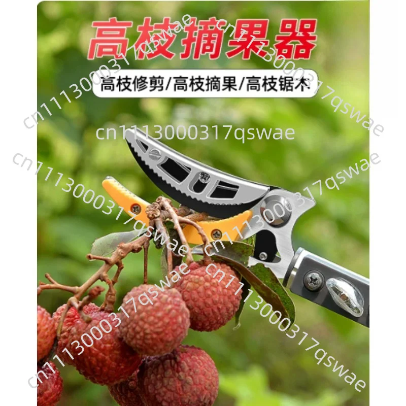 Telescopic High Altitude Fruit Picking Scissors With Pruning Shear, Extended Picker For Lychee, Loquat And Longan Harvesting
