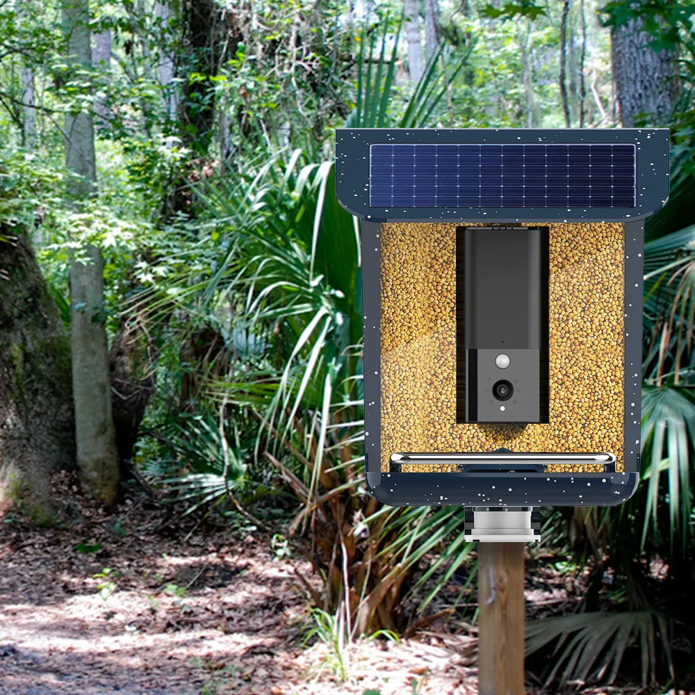 Solar Charging Smart Bird Feeder With Camera WiFi App Installation