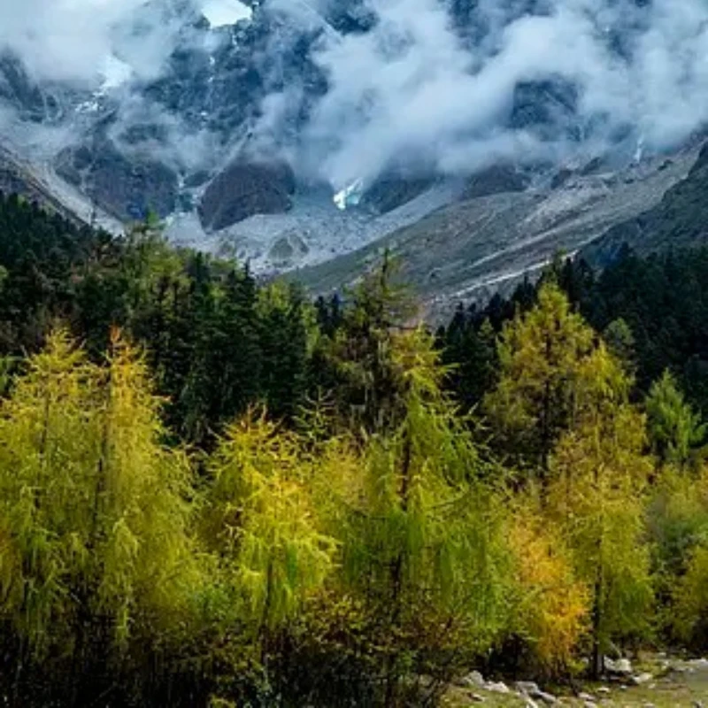 

JX Servo PDI-HV2070MG 70KG HV Metal Gear Core Digital Servo for 1/5 Rc Car Compatible Accessories