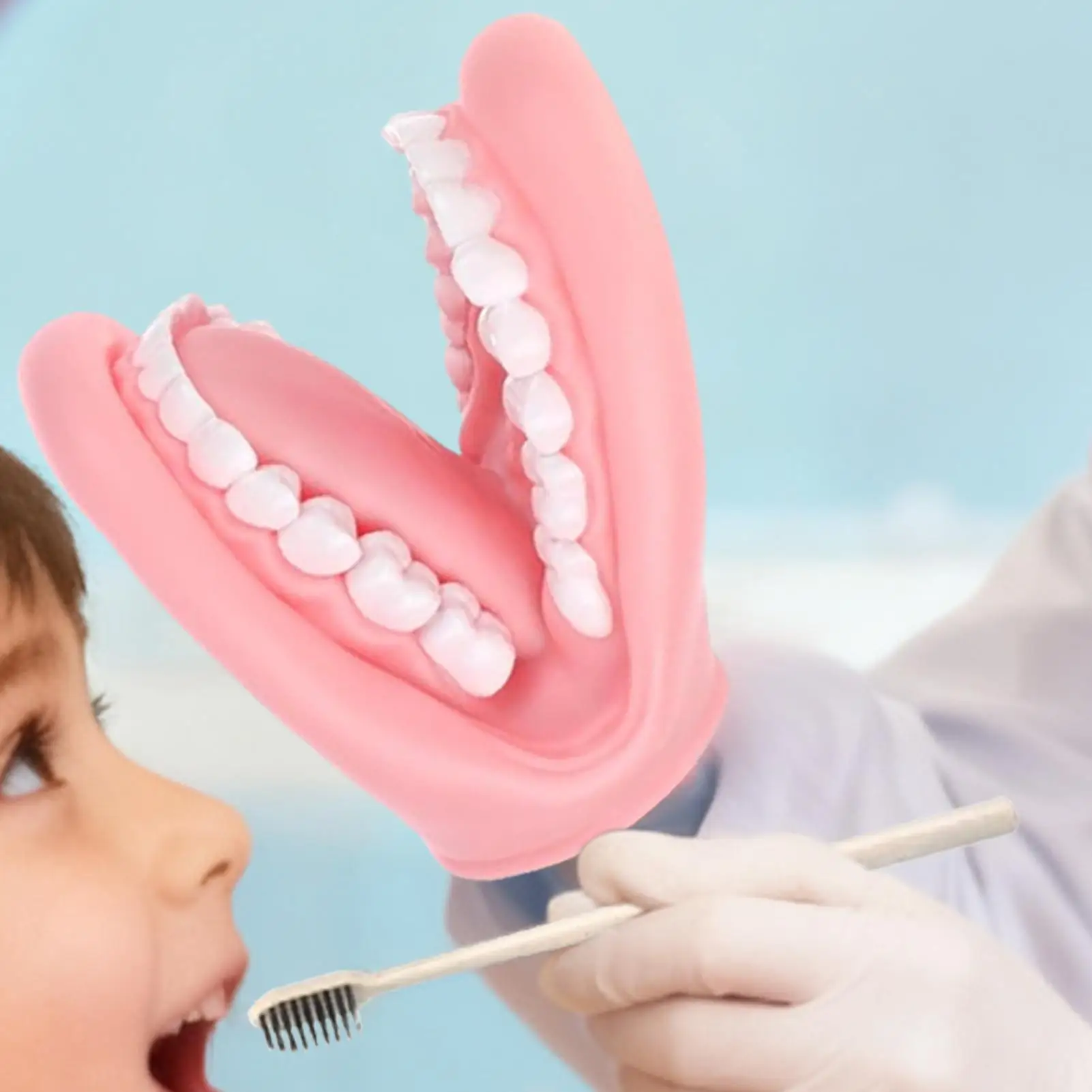 أطفال دمى اليد البلاستيكية المنقولة نموذج طب الأسنان لعبة تعليمية دمية الاصبع للأطفال المنزل السفر مدرسة رياض الأطفال