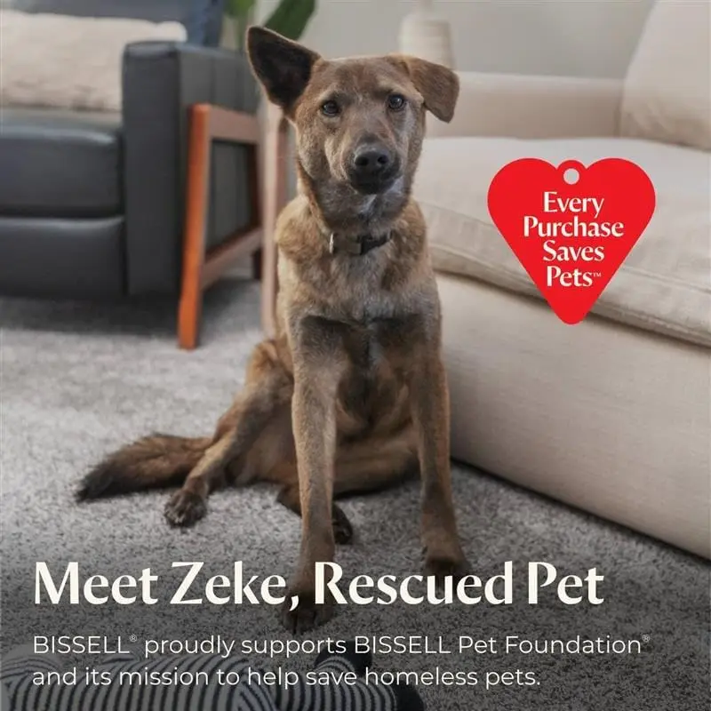 Crossave Pe Pro 올인원 e y 진공청소기 및 단단한 바닥 및 러그용 op, 보라색, 2306A