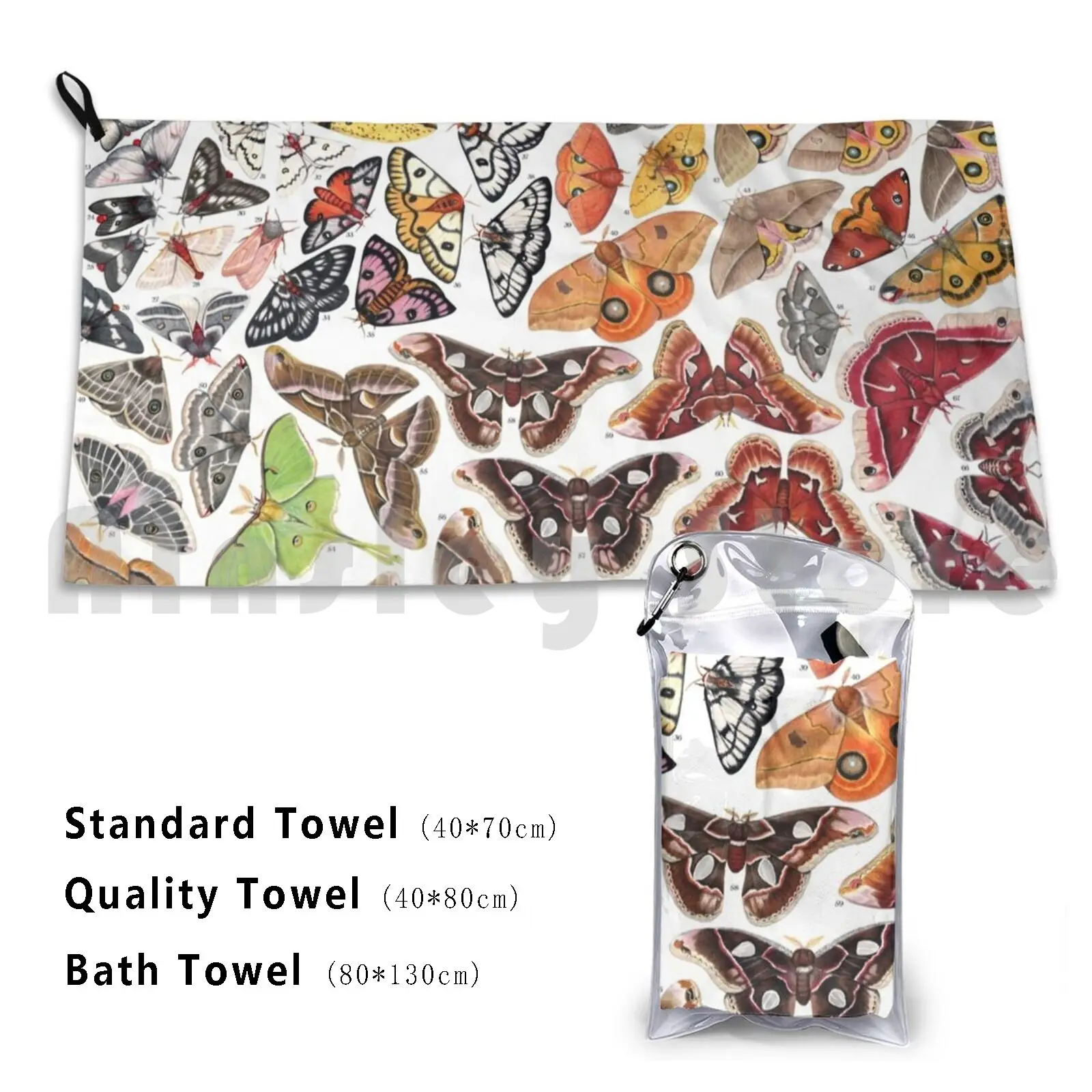 Towel Saturniid Moths Of North America 982 Moth Lepidoptera Insect Animal Entomology