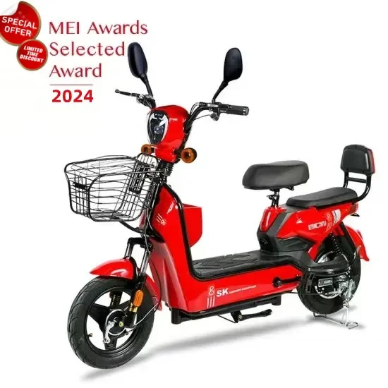 2024 Electric Bicycle Electric Motorcycle Adult