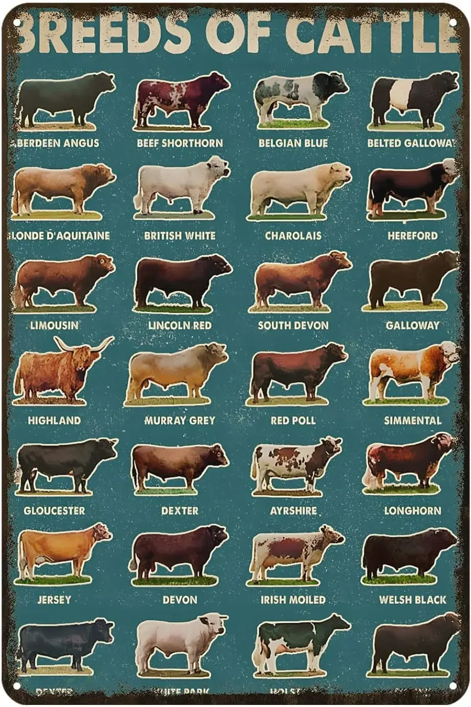 Breeds of Cattle for Lovers Farmer Metal Sign Rustic Decor Vintage Tin Sign Home Kitchen Bar Cafe Farm Club Cave Wall Decor Cow