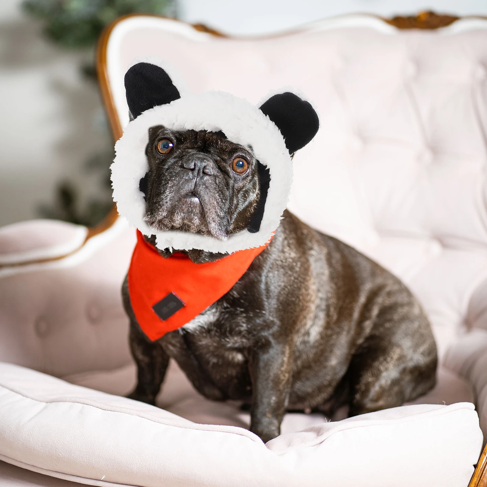 

2 Pcs Adorable Pet Hat Cat Decorative Cartoon for Pets Clothing Black Cotton Man