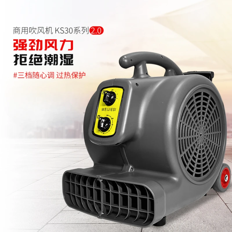 Industrial Blower Small Commercial High Power Three Speed Timing Powerful Hair Dryer Hotel Ground Dehumidification Blower