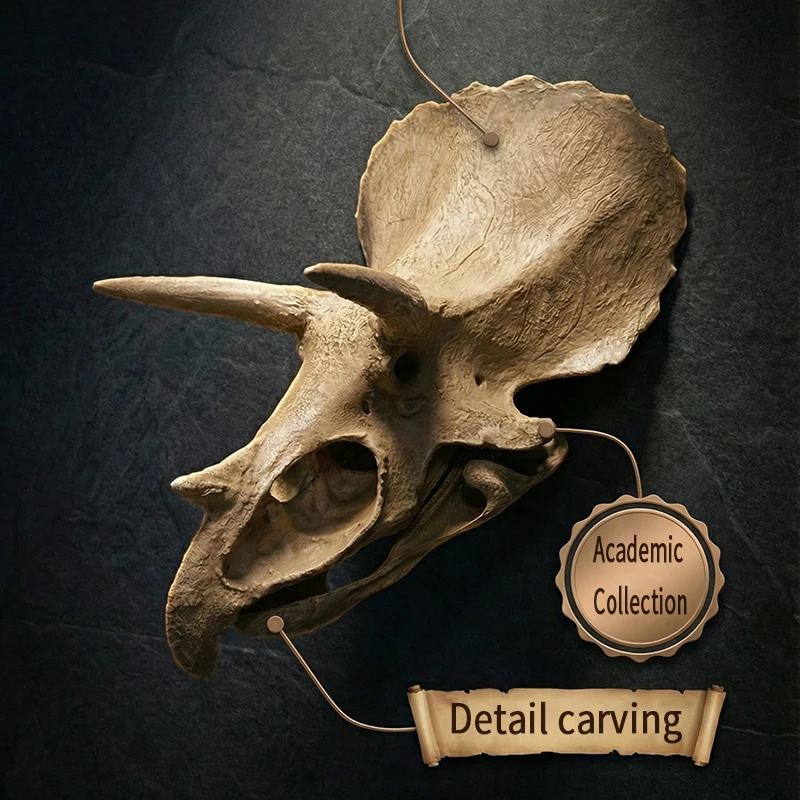 Triceratops Skull Model, Realistic Dinosaur Fossil Replica, Triceratops Wall Decoration, Wall Hanging Ornament, Resin Home Decor Piece, Great Gift for Adult Collectors