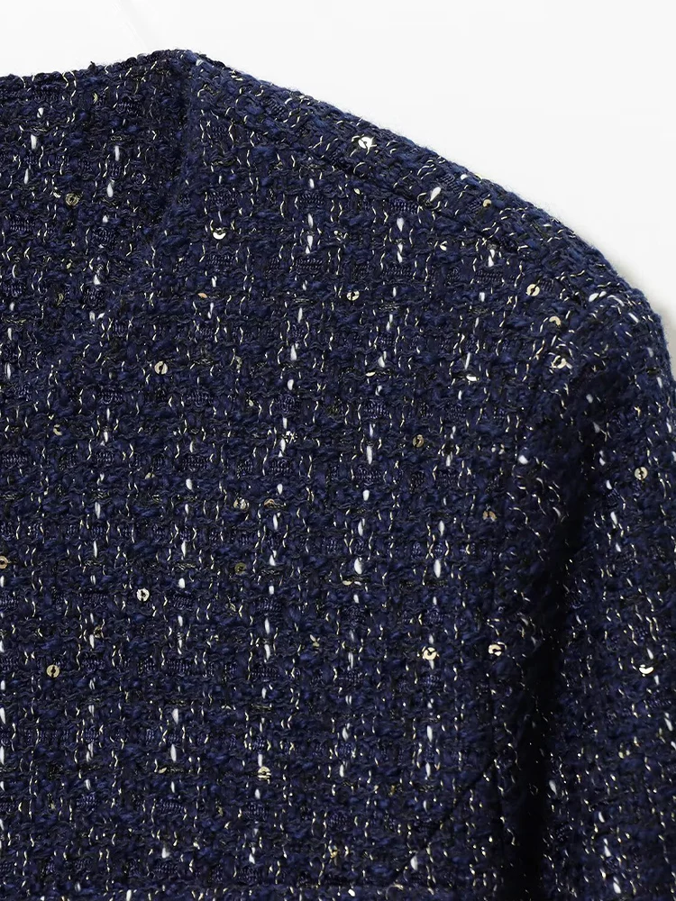 Veste à paillettes pour femmes, style européen et américain, nouveau tempérament décontracté, simple, col rond, manches longues, avec ceinture, automne
