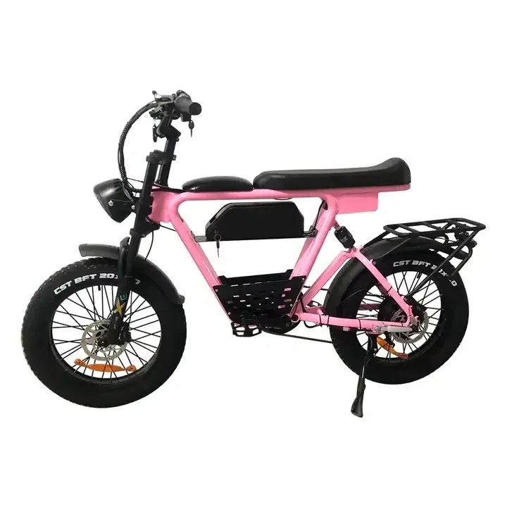 

Intelligent Library Custom Logo Retro Electric Bike 20-Inch Fat E-Bike With Dual 48V 1000W Batteries Pink 15AH Battery Capacity