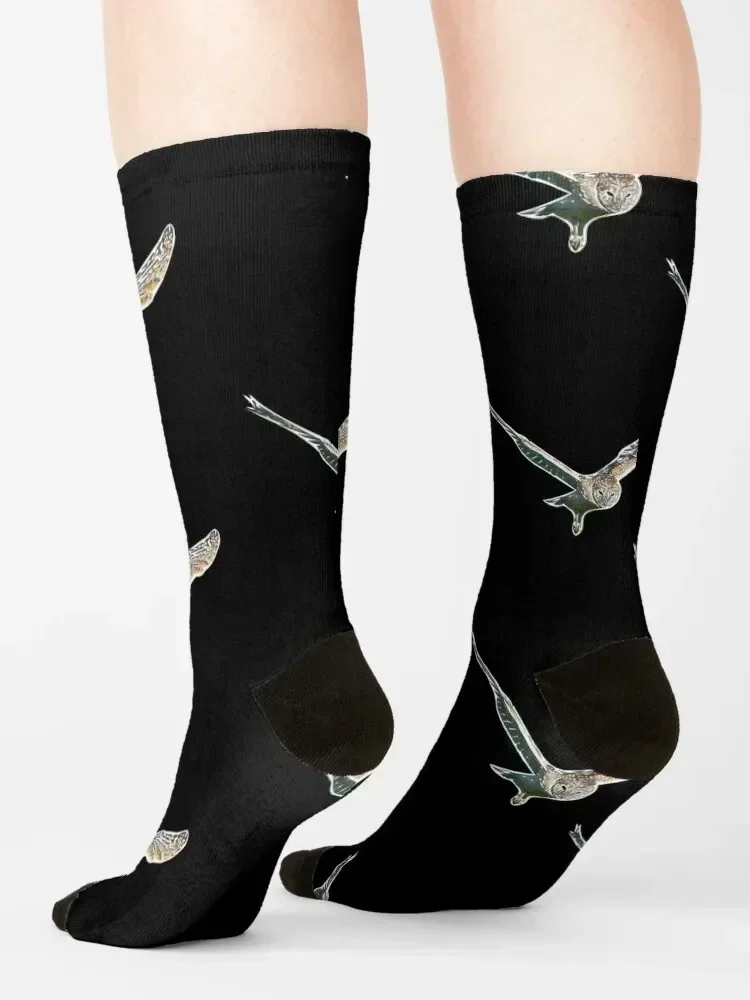 Barn Owl Flying White Alternate Print Socks luxury cool Christmas Sports Socks Woman Men's
