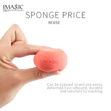 Makeup Sponge #3