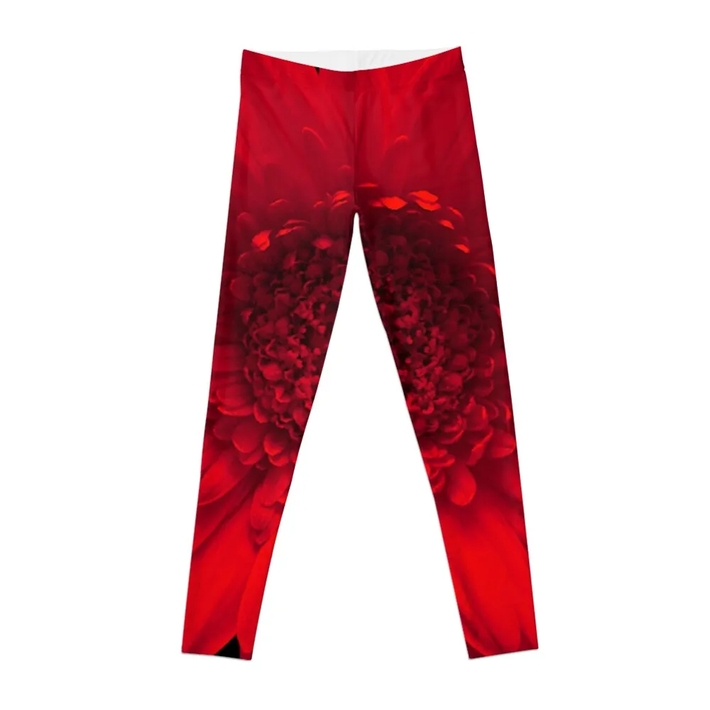 

Red Daisy Flower Leggings flared leggings Legging sexy woman